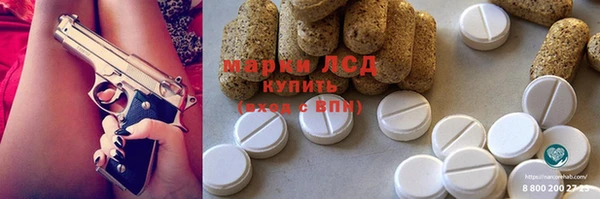 прущие грибы Абинск