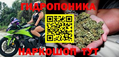 эйфоретик Донской