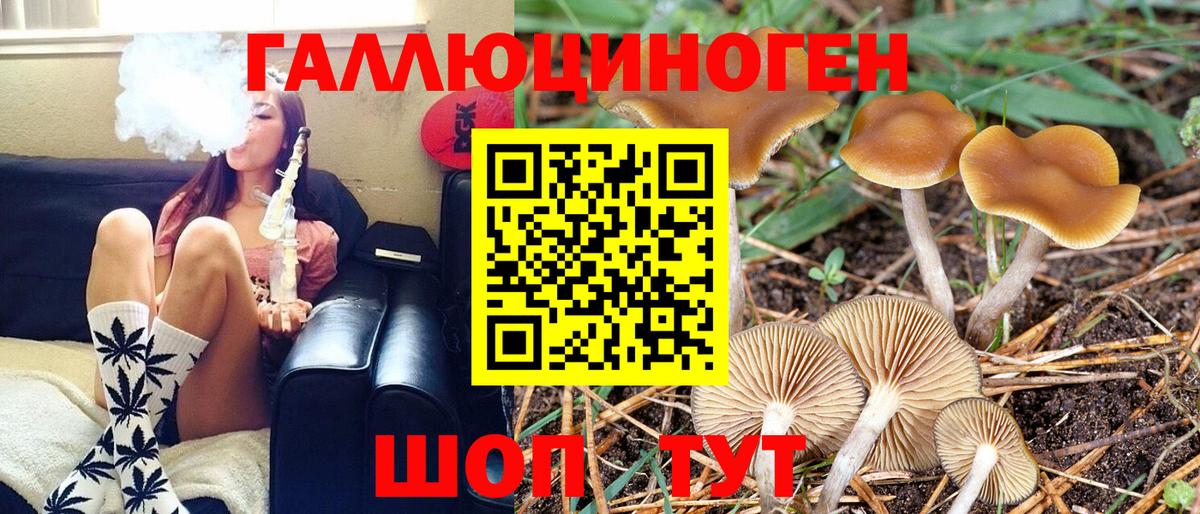 Тула  Галлюциногенные грибы Cubensis  Вход с VPN 
